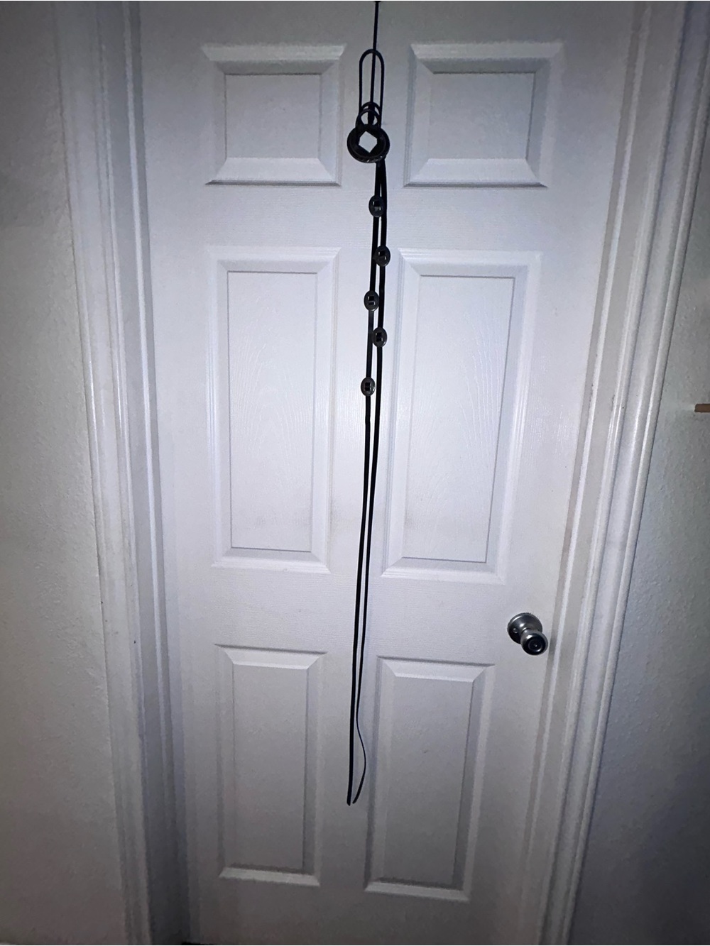 MWOT - Adjustable Black Concha Belt